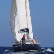 SWAN 43